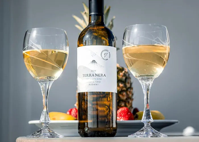 Lägenhetshotell Evmaria