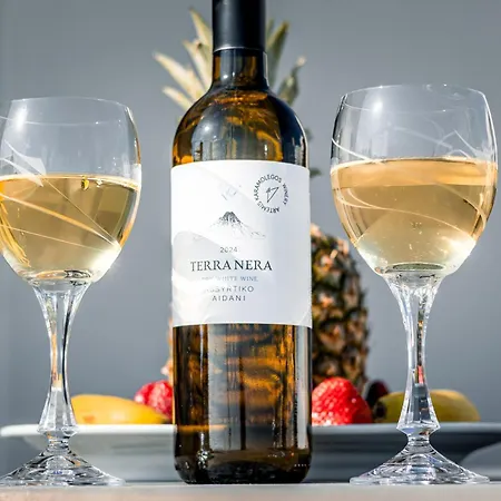 아파트호텔 Evmaria